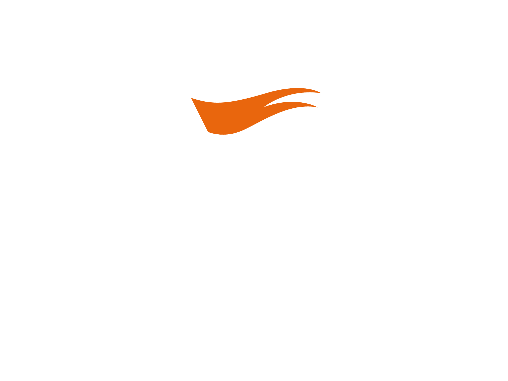 logo nice white